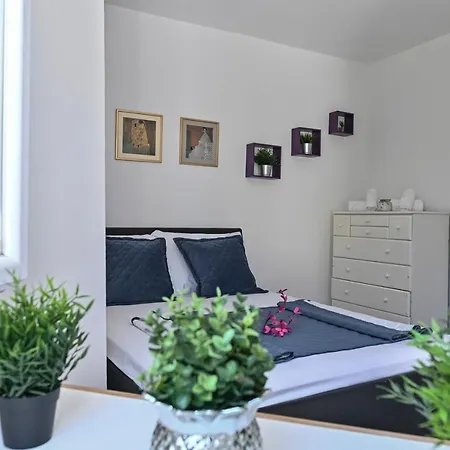 Apartment Adela I With Terrace Novalja Exterior photo